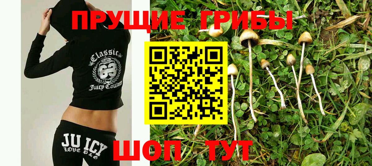 Псилоцибиновые грибы Psilocybine cubensis  Вход с VPN  Галлюциногенные грибы Magic Shrooms  Красногорск 